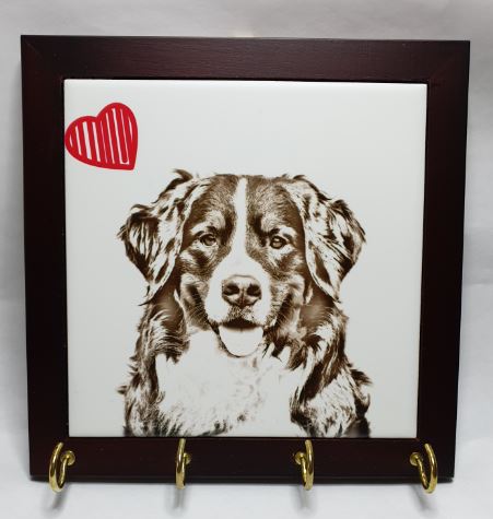 Bernese Mountain Dog Lead Hanger