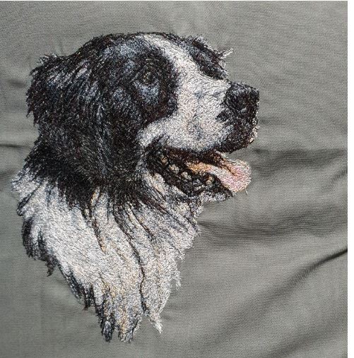 Border Collie Embroidered Colour Cushion Cover