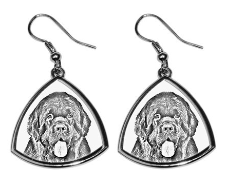 Newfoundland Silver Plated Earrings