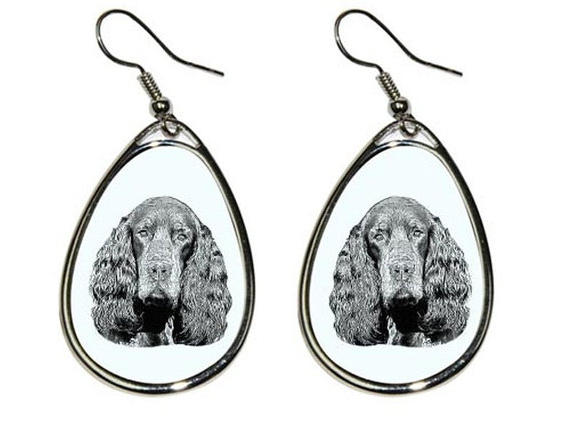 Setter Siolver Plated Earrings