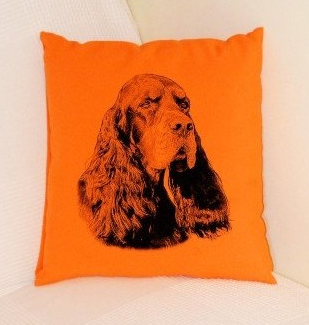 Setter Pillow Orange