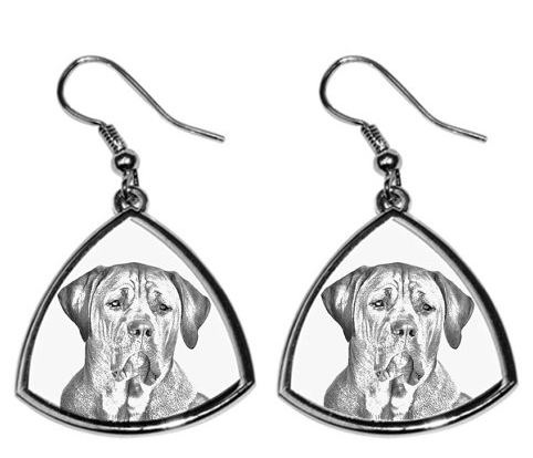 Tosa Silver Plated Earrings