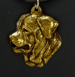 Tosa hard Gold Plated Pendant