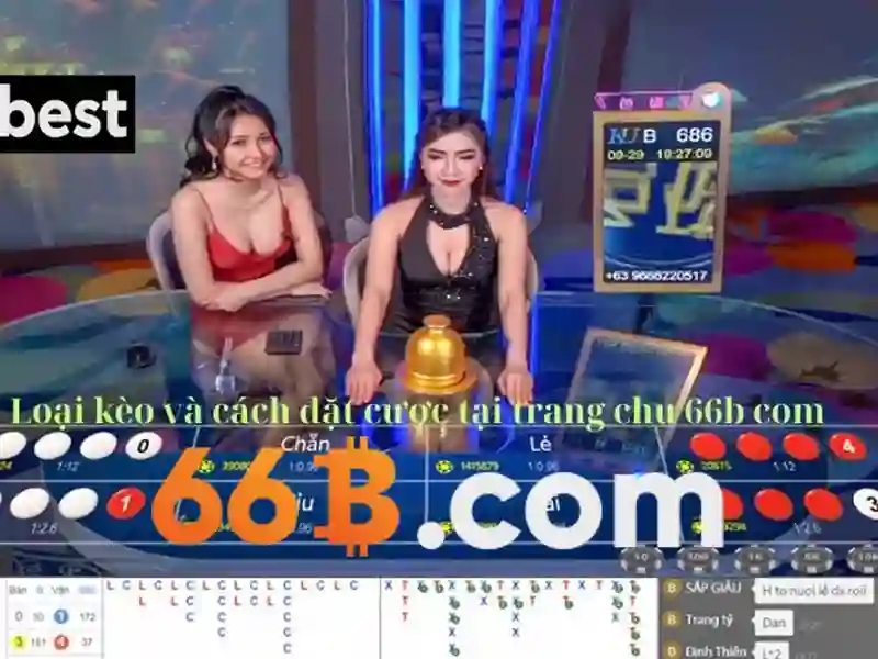 66b club: Khám phá cộng đồng sáng tạo và trải nghiệm đỉnh cao