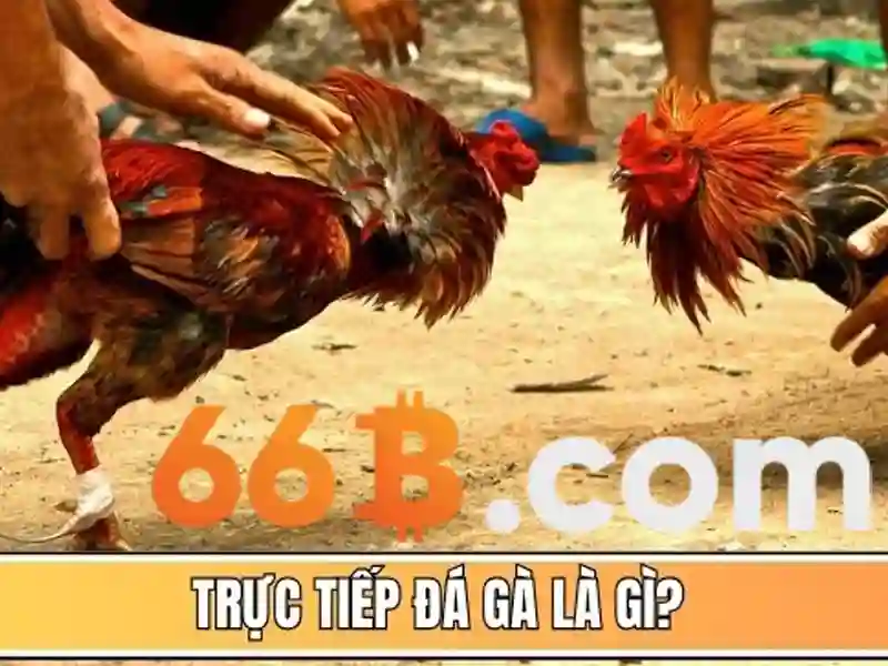 tải 66b – Khám phá giá trị và ứng dụng nổi bật